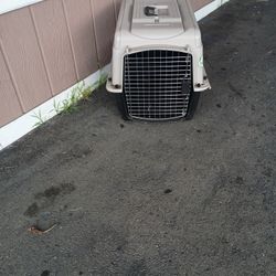 Dog House Medium Size