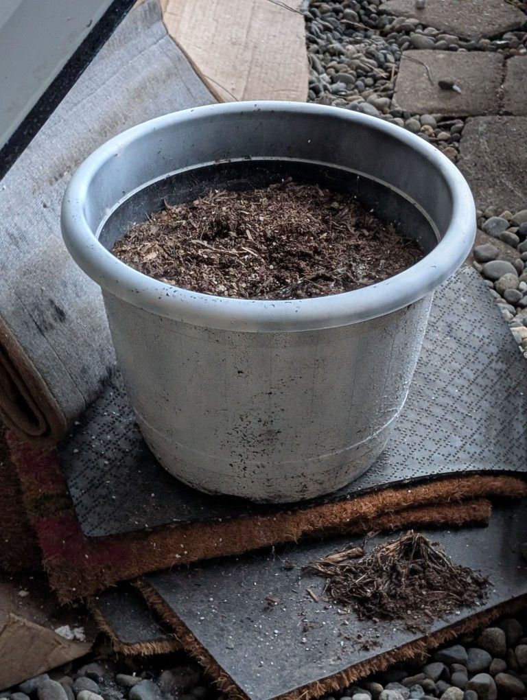 Misc Flower pots, $10 Each, W or W/O potting soil