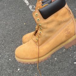 Timberland Size 12  