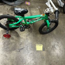 Youth Tony Hawk Bicycle