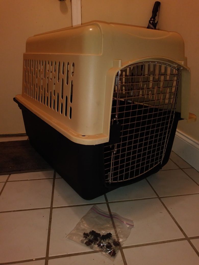 Dog Kennel