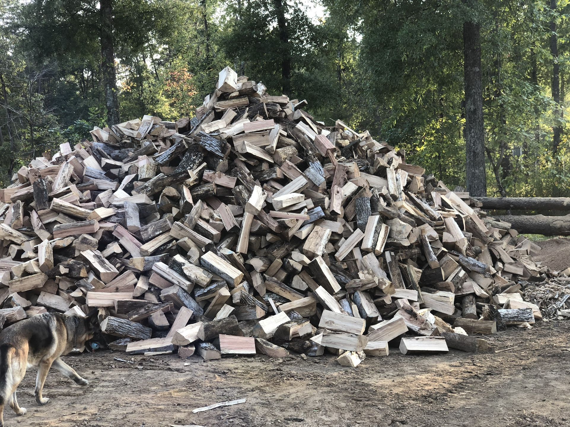 Seasoned Oak Firewood Free Delivery