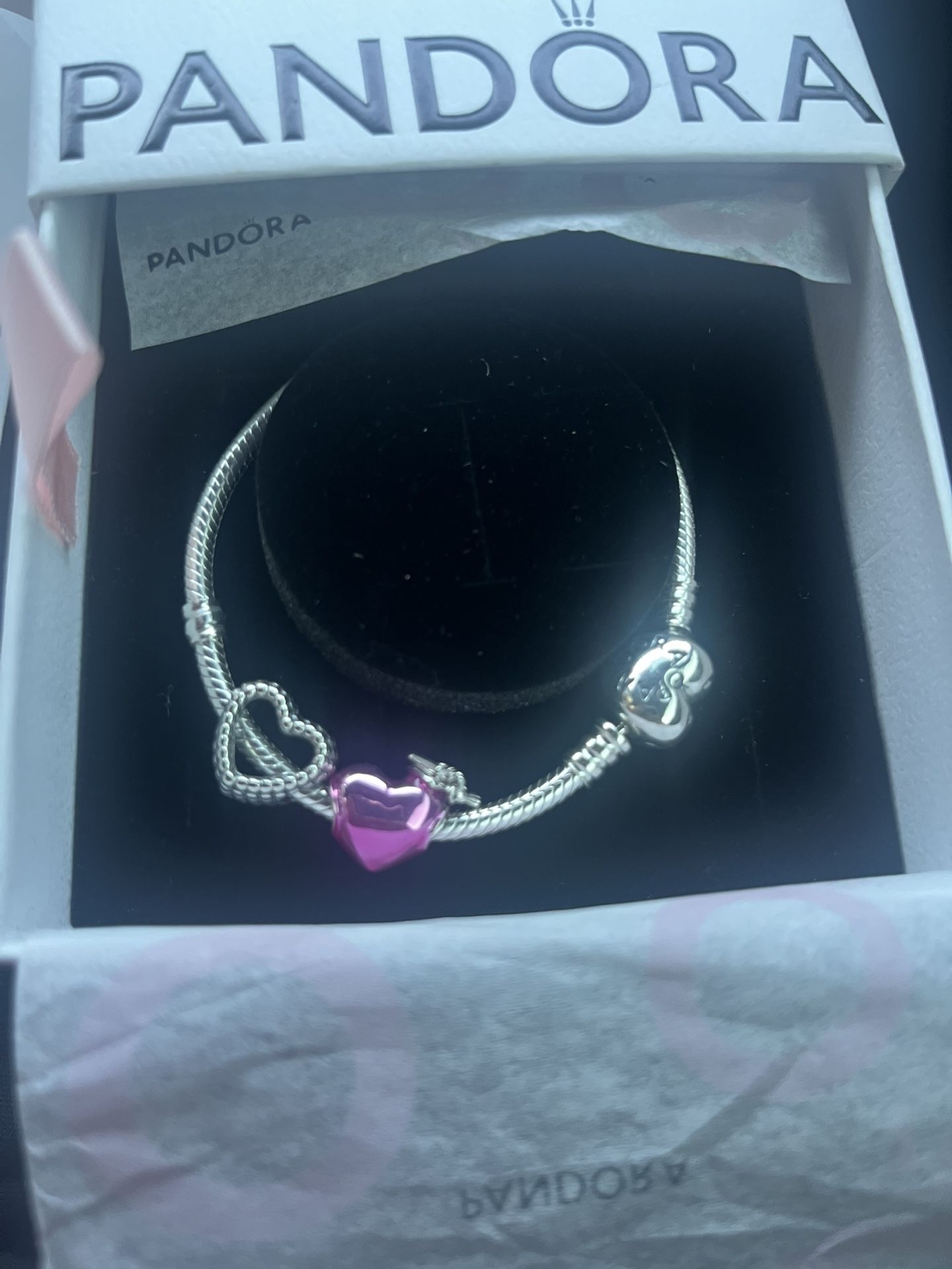 Brand New Pandora Sliver Bracelet