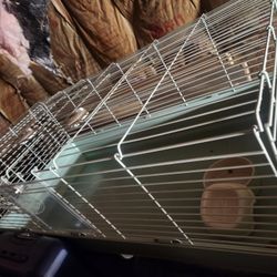 Guinea Pig Cage