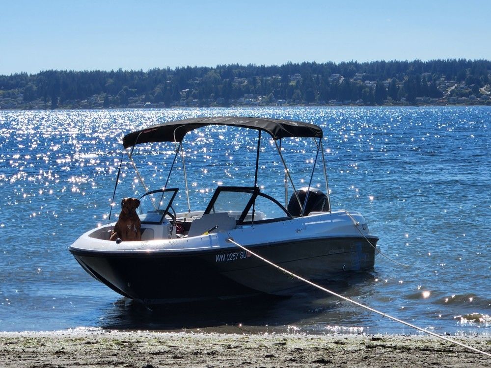 2021 Bayliner Element E21