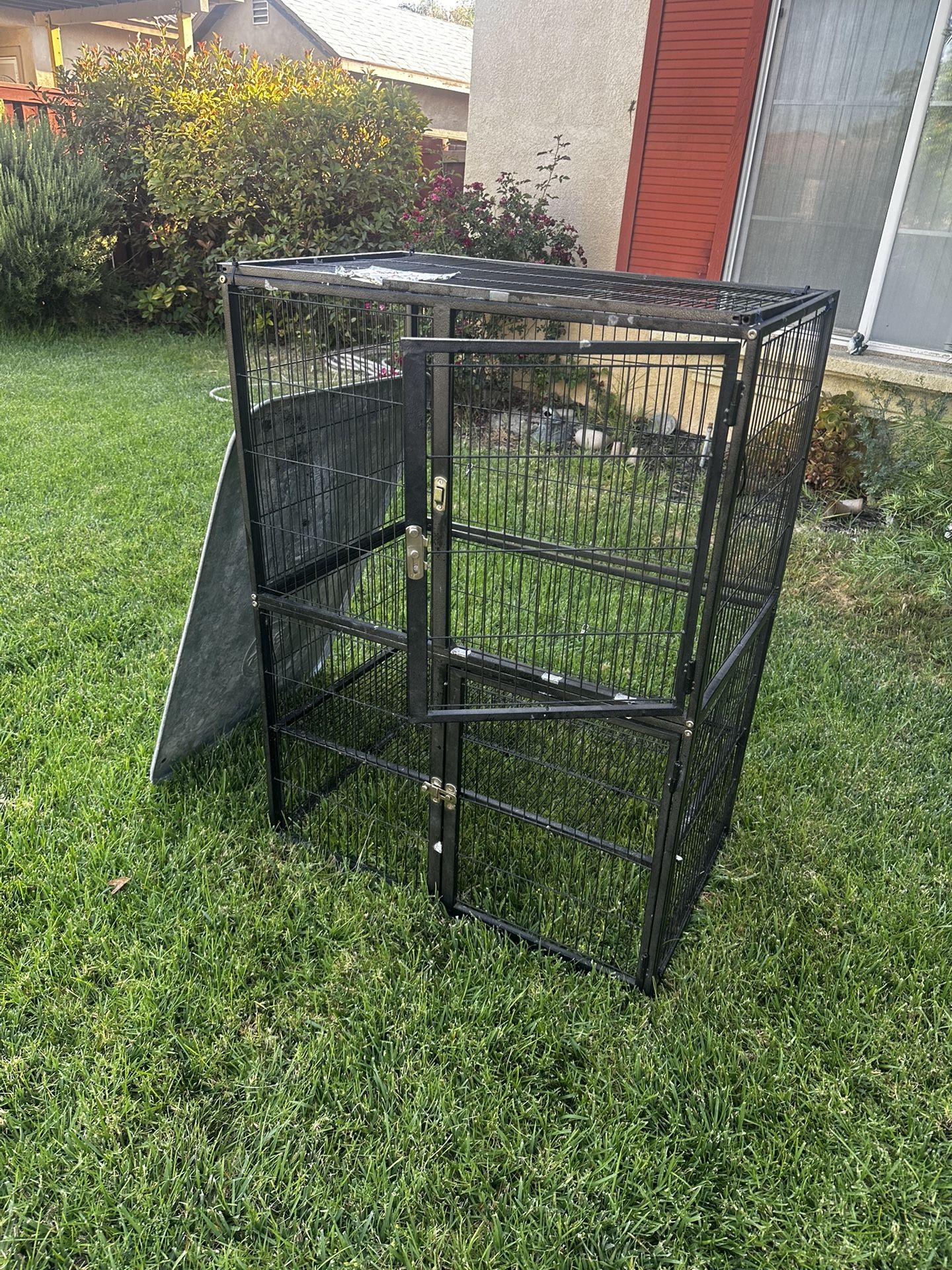 Rat Cage
