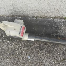Craftsman's Leaf Blower's 
