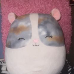 Brand New Plushie