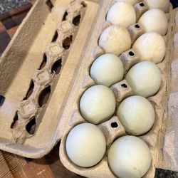 Farm Fresh Duck Eggs