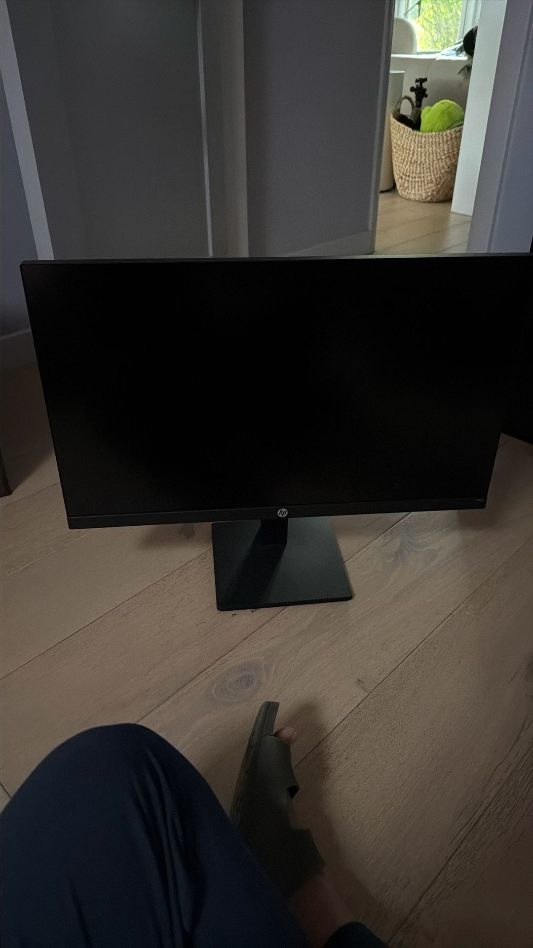 HPX27q Monitor