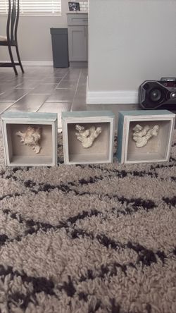 Shell frames