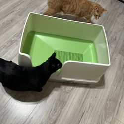 Purina XL Litter Box