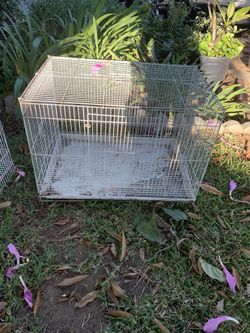 Bird cages