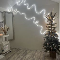 10x8 Shed With Dry Wall Electricity 