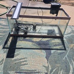 Fish Tank