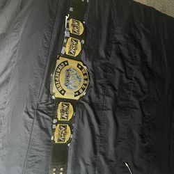 Aew World Tag Team Championship Belt