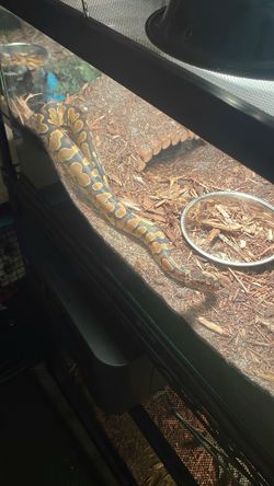 SNAKE TANK ENCLOSURE