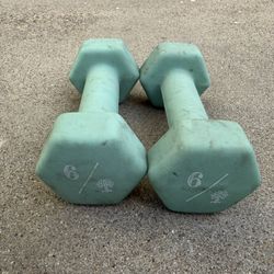 6 lb Neoprene Coated Dumbbells 