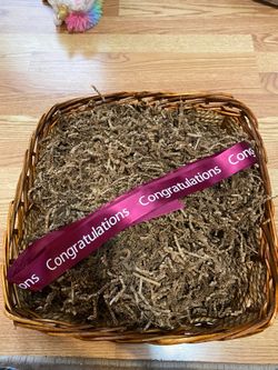 Basket with Cushion and Ribbon