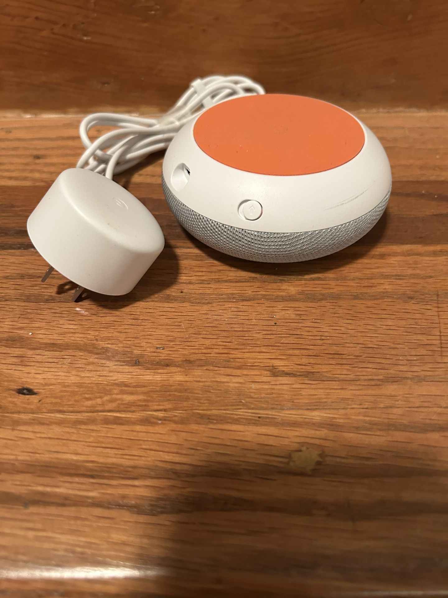 Google Alexa Device