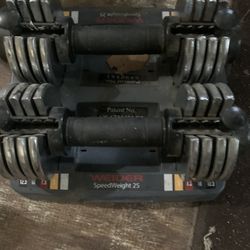 Adjustable Weights.  