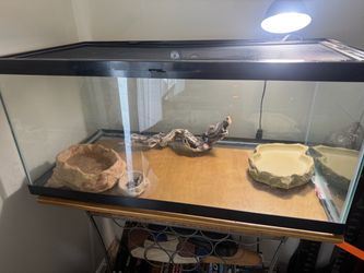 Reptile terrarium And Reptile equipment