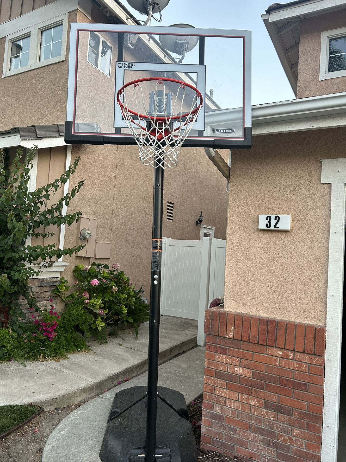 Lifetime Basketball Hoop
