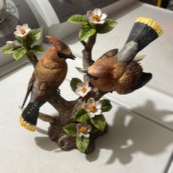 Springtime courtship