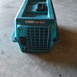 Mini Pet Taxi