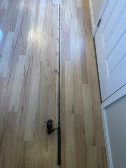 Fishing Rod And Reel