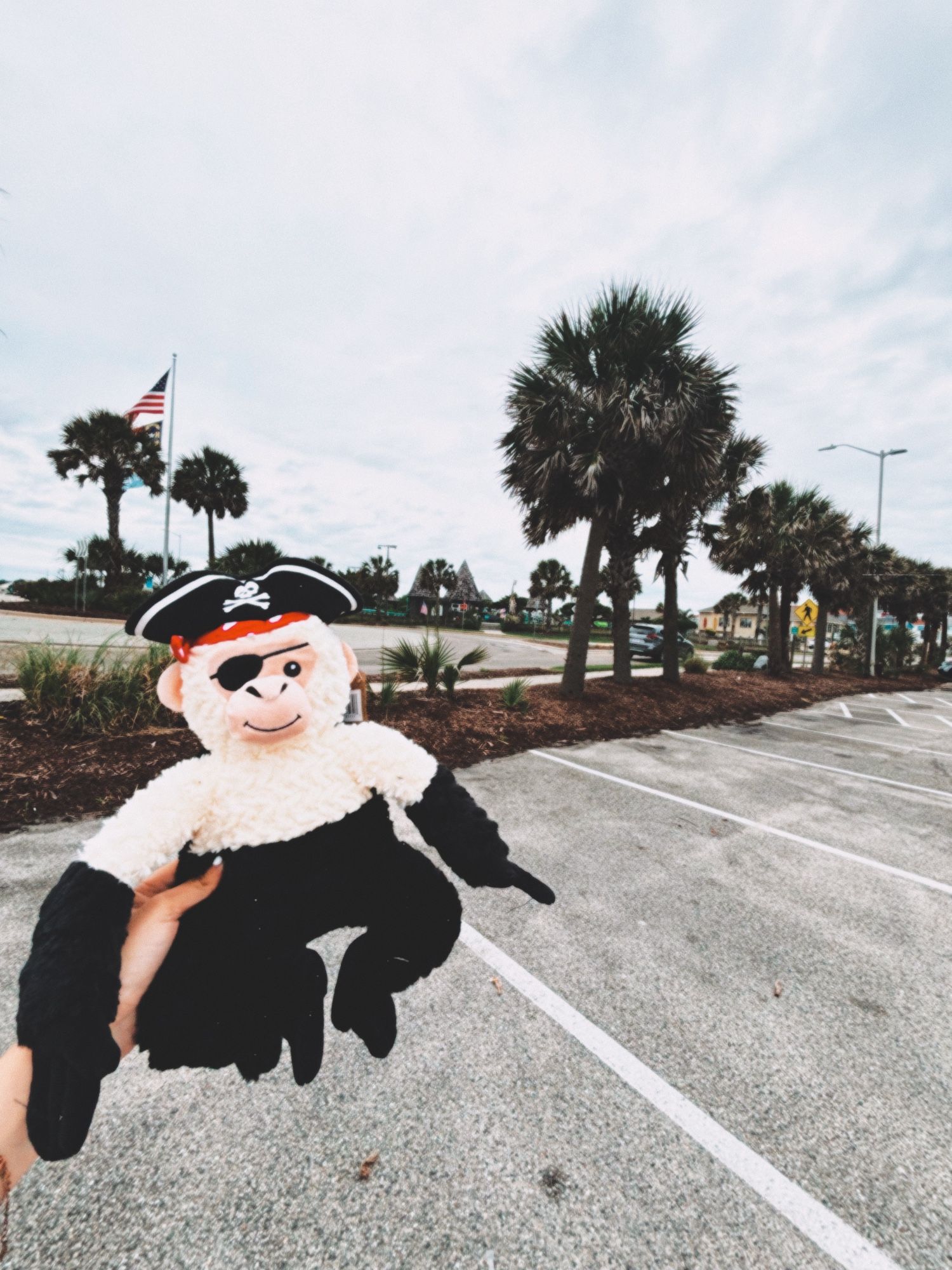 pirate monkey plushy