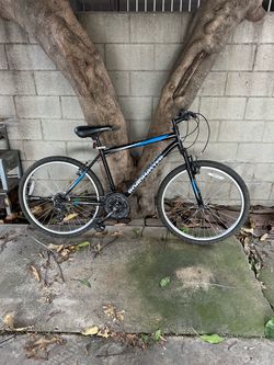 Mountain bike