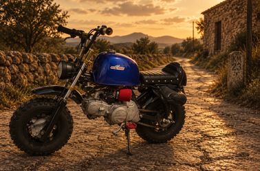 Honda z50r 1998