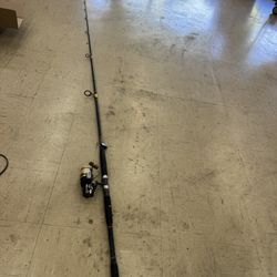ugly stik fishing pole with reel