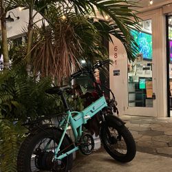 E Bike Eahora X5