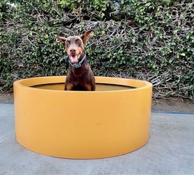 Extra Large 48" Fiberglass Planters 2x – Commercial Grade – 4ft Round - $325 (San Diego)