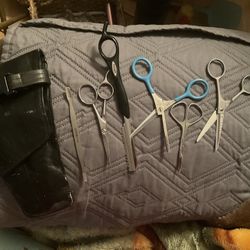 Hair Cut scissors and packed to put them all in Old said $5.00