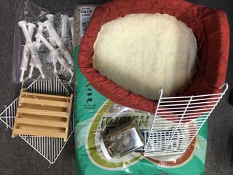 Guinea pig supplies pet stuff