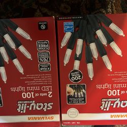 Led Mini Lights 2 Sets Of 100