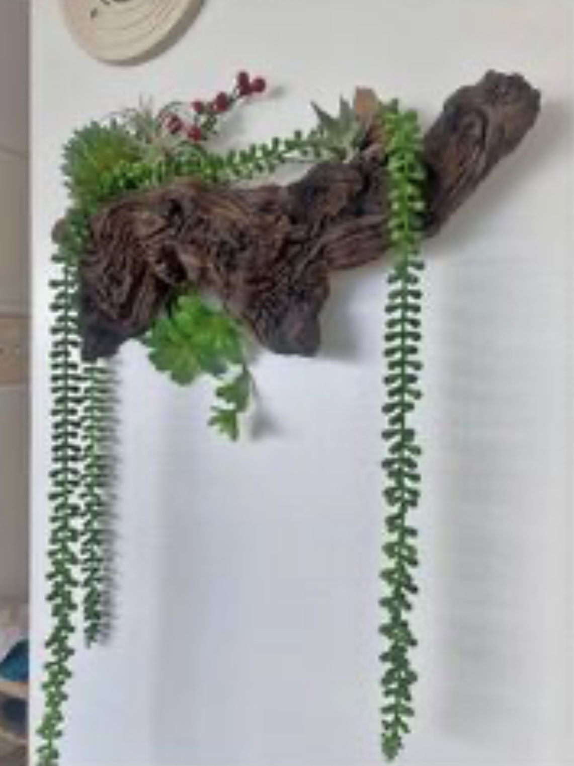 Driftwood / wood  w/ hanging artificial succulents. Wall or on Table  (C description)