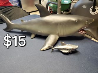 Shark