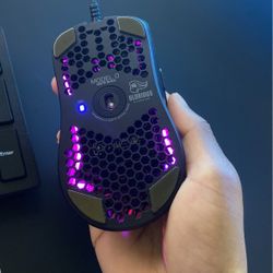 Gaming Mouse Glorious Model O