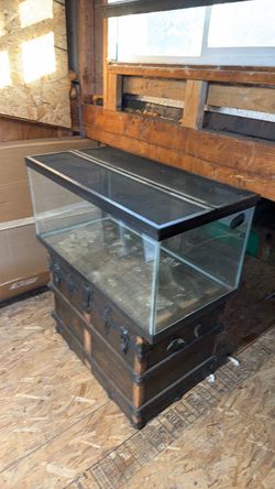 Large Glass Terrarium