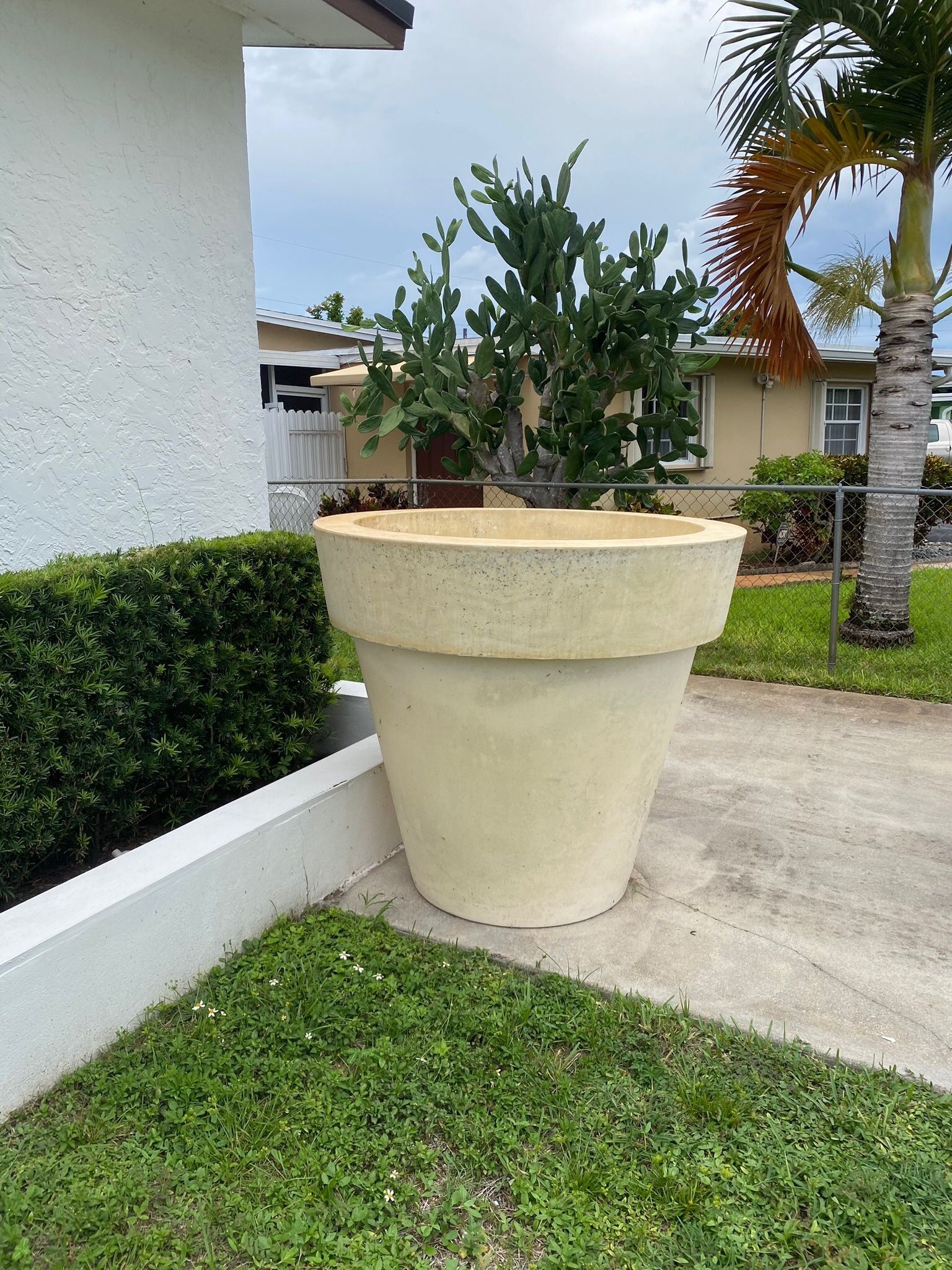 Extra Large Flower Pot