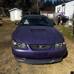 2001 Ford Mustang