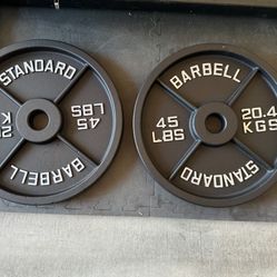 Pair Of 45 Pound Weight Plates