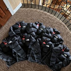 North Face Puffer Jacket 700