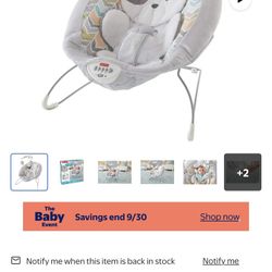 Baby Bouncer 