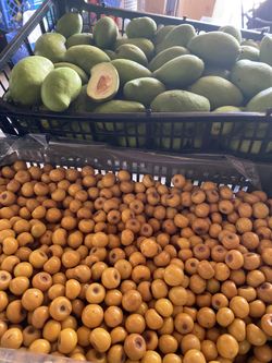 Mango verde y nance $10 por libra