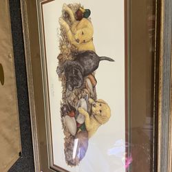 Seasons Rookies Print